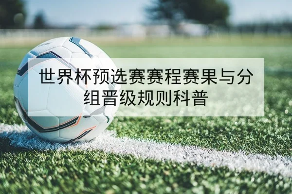 世界杯预选赛赛程赛果与分组晋级规则科普